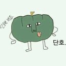 치치하하
