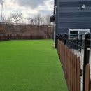 위드온 반려견 교육센터 이미지