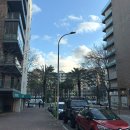 2호광장 엄옥철치과 | 🇵🇹 #4 봄은 언제 올까요