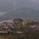 촌가 - 여수시 | 촌가