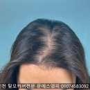 대한두피디자인협회 이미지