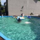 샾 펜션 이미지