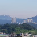 새벽아침농장 이미지