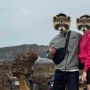 백수광부 | 대만3박4일 여행 2일차(예스폭진지 버스투어, 라오허제 야시장) | 흑돼지소시지, 닭날개볶음밥, 순두부...