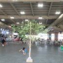 설악워터피아실외수영장 이미지