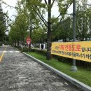 백양로 티스토리
