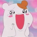 진짜한국은착한거같다ㅠㅠ 이미지