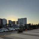 수인펫 | 수원 코베 베이비페어&amp;유아교육전 후기