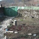 원촌교차로 이미지