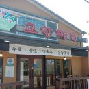 교항면옥 | 주문진맛집 교항면옥 방문후기