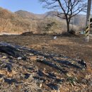 안산대학공인중개사사무소 이미지