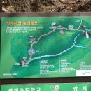 삼신봉 농장 Daum카페