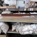 인천미추홀소방서도화119안전센터 이미지