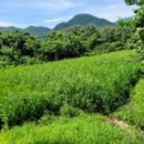 포항시북구48 이미지