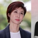 반쪽사과 이미지