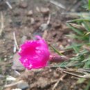 산골쉼터 이미지