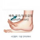 제이바디짐 이미지