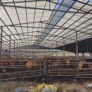 장풍목장 이미지