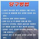 신호등당구장 - 완도군 비자1길 27-8 | 신호등당구장