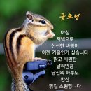 "홍하사의 잡다한이야기"---(1263) "건강 이야기"---(233) "하루 1분만 이곳을~" & "개딸의 정체" " ' 이미지