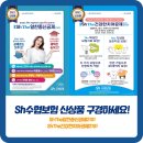 THE 알찬 이미지