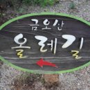 금오산올레길 이미지