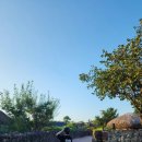 덕현이네민박 이미지