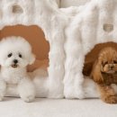 몽글몽글 이미지