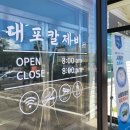 대포칼제비 이미지