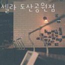 카페셀라 - 유성구 학하복용서로 19 | 카페셀라