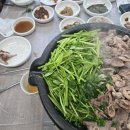 한재스타미나리 이미지