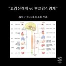린매스짐 이미지