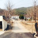 안평초등학교신평분교장 이미지