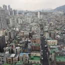 양지교통(주) 이미지