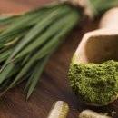 먹고보리 이미지