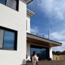 하얀바베르 이미지