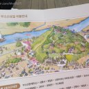[올카] 부여 고란사 고란정 유람선 황포돛배 부소산성 부여관광지 부여명소 부여가볼만한곳