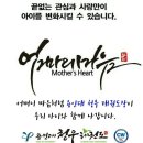 용인대태권도 청우체육관 이미지