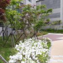 싱글벙글 노래연습장 이미지