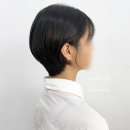 3806 | 대전 숏컷 볼륨매직 단정한 여자 짧은머리 추천