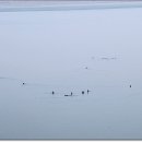 외포리선착장 이미지