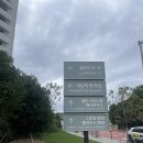 포레스트탭룸 | 아난티 앳 부산빌라쥬 Cabin B 포레스트 뷰 8층 투숙 후기