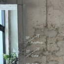 오알 | 서귀포 오알 카페 후기, 정원과 오션뷰가 매력적인 제주 감성카페