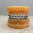 수인치과의원 이미지