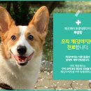 페로페라 동물병원 | 반려견과 행복을 꿈꾸는 식사동동물병원 페로페라
