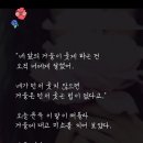 퀸헤어샵 이미지
