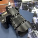 숭례문 광학 | 소니 RX10 입문용카메라 살펴보기