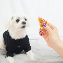 부농까까 이미지