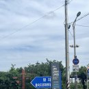 하단동1195 | [부산 을숙도] 을숙도생태탐방선 선착장ㅣ요금, 시간, 휴무, 코스ㅣ당일예약가능