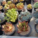 두은농장 이미지